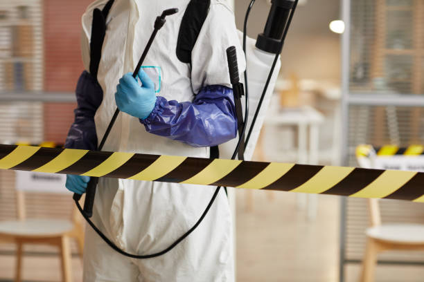 Professional Sewage Cleanup technician working in Vernon, TX